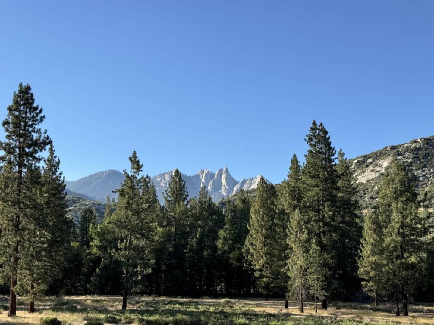 Peppermint Falls Ranch Ponderosa Exterior photo