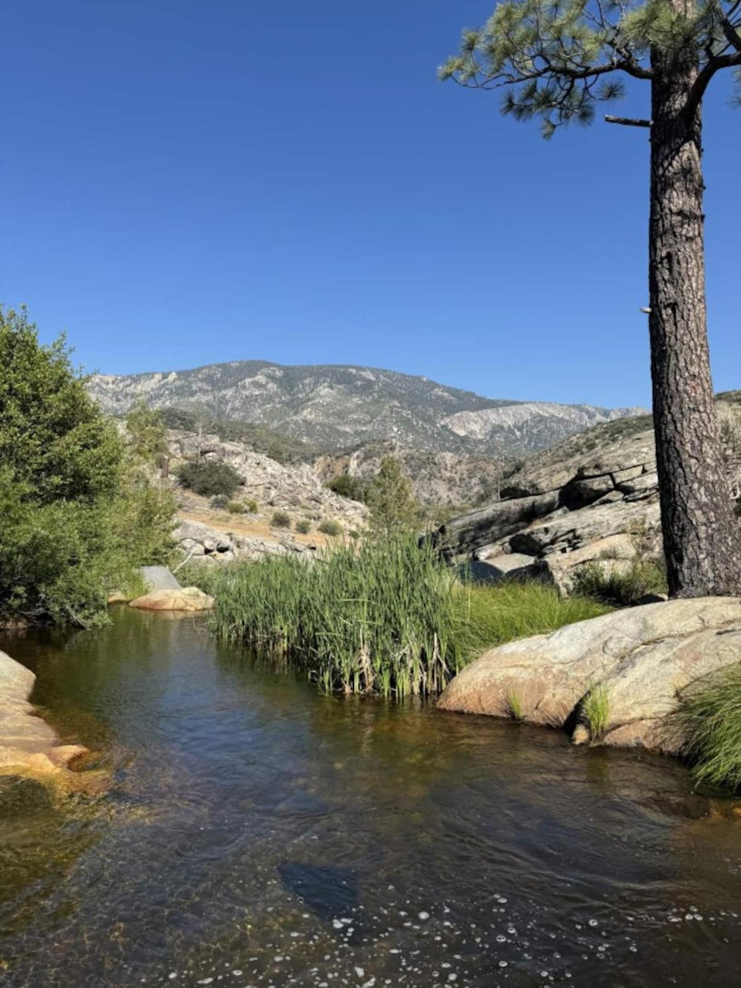 Peppermint Falls Ranch Ponderosa Exterior photo