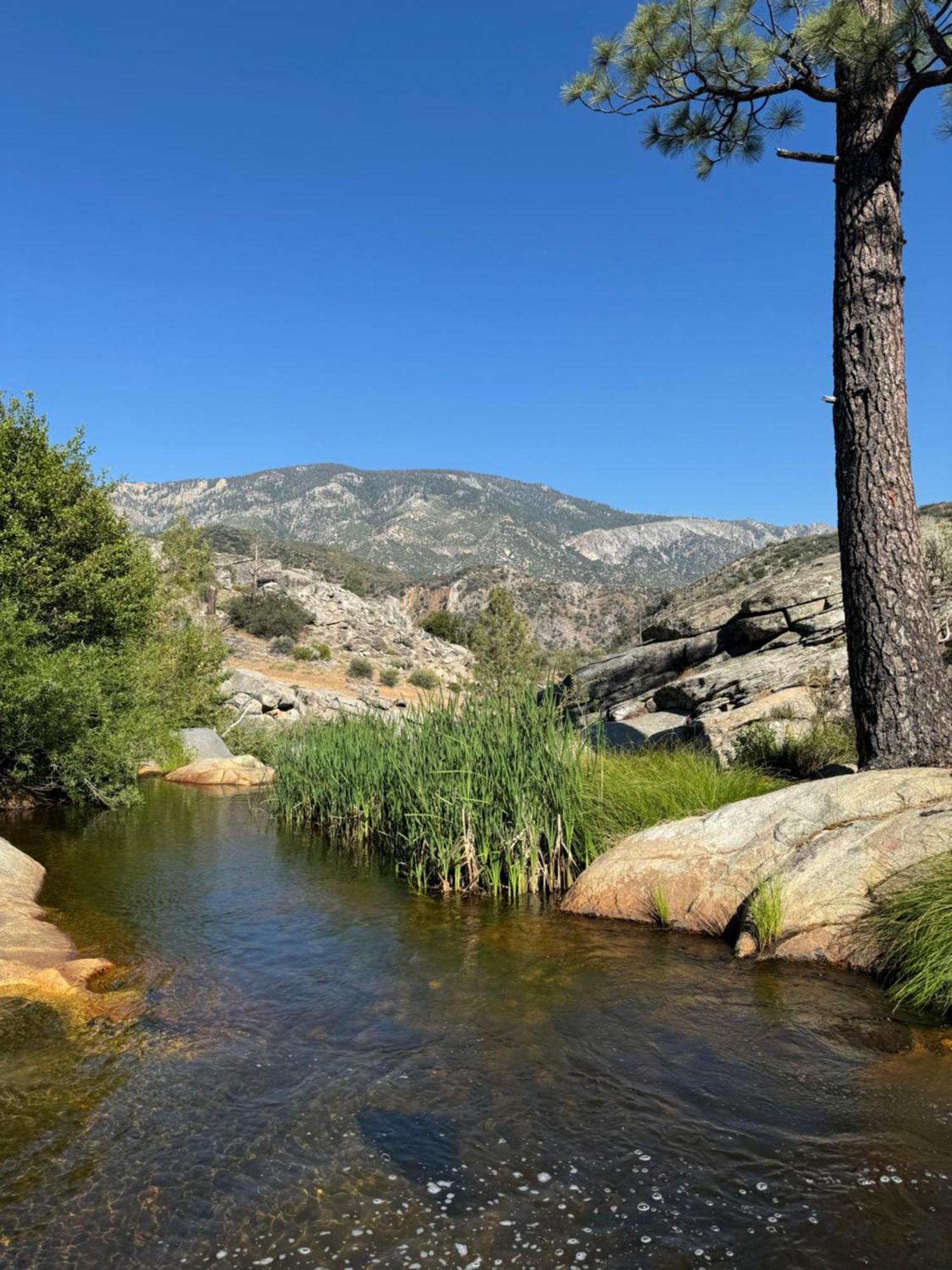 Peppermint Falls Ranch Ponderosa Exterior photo