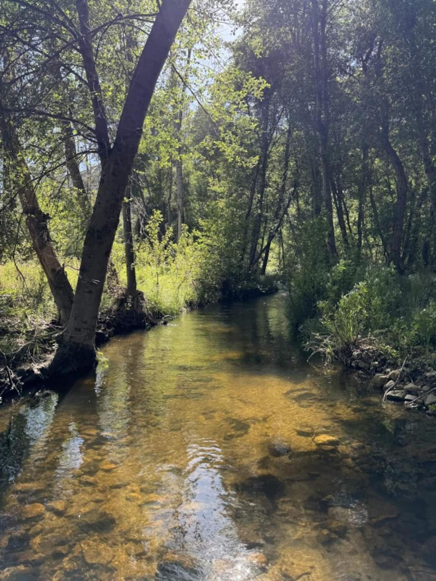 Peppermint Falls Ranch Ponderosa Exterior photo